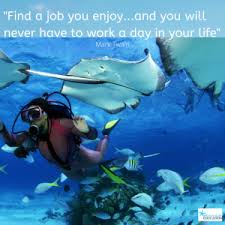 Maybe you would like to learn more about one of these? How To Become A Marine Biologist In Queensland Ocean Life Education