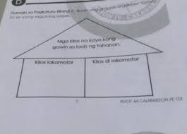 Moral and moral, formal or informal. Kawal Sa Pagtutubig Ng One Boy Ang Graphic Organizer To Win Ito Sa Iyong Sagutang Papel Mga Kilos Na Brainly Ph