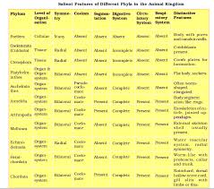 Can U Draw And Show Me The Table Of Classification For