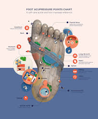 Foot Pressure Points Online Charts Collection