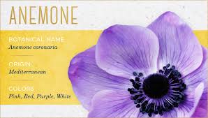 Most beautiful flowers and their names. The 20 Most Beautiful Flowers You Ll Ever See Ftd Com