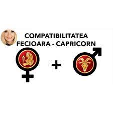 Compatibilitatea sexuala si romantica va fi exploziva. Compatibilitatea Fecioara Capricorn In Dragoste Si Casatorie