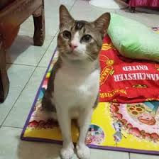 20 wanita berwajah cantik dan mirip barbie di dunia unik. Violla Anastasia Aniokta032018 Profil Pinterest