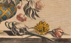 Welcome to favorite paint colors! Furber S Flowers