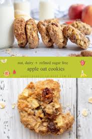 Only 9 ingredients, 4 grams net carbs, & ready in 20 minutes! Apple Oat Cookies With No Added Sugar