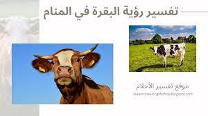 We did not find results for: Ù‚Ø·ÙŠØ¹ Ø§Ù„Ø¨Ù‚Ø± ÙÙŠ Ø§Ù„Ù…Ù†Ø§Ù… Cooknays Com