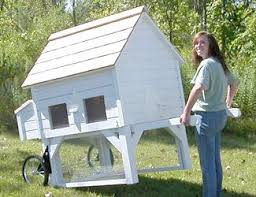 Wheels And Handles Moveable Chicken Coop As Seen On Martha Stewart Green White Or Barn Red Poulailler Maisons De Poulet
