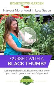 Let Brie Arthur Share Her 20 Years Of Garden Experience With You In This Amazing Class Homegrown Veggiegarden G Garden Harvest Homegrown Gardening Courses