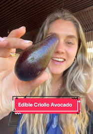 Girl Eating Avocado Peel