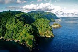 Cocos island national park costa rica. Parque Nacional Isla Del Coco Cocos Island National Park Costa Rica Cocos Island Visit Costa Rica Island