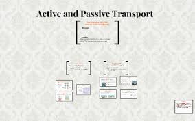 Active And Passive Transport By Ryan Brown Ezell On Prezi
