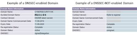Infosec Security Of Dns