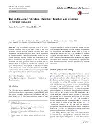 An animal cell that lacks a rough endoplasmic reticulum would be unable to perform which function. Pdf The Endoplasmic Reticulum Structure Function And Response To Cellular Signaling