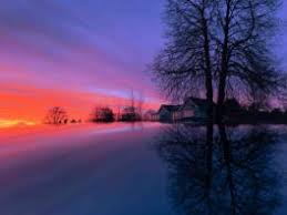 Photo Contest: Winners