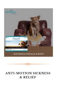 Enter your zip code & find info on low cost vet. How To Euthanize A Dog With Over The Counter Drugs Arxiusarquitectura