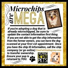 Pet chip registry accepts no responsibility during litigation over ownership of an animal. Call Or Go Online To Check With Your Pets Microchip Company To Make Sure That All Your Contact Information Is Current He Losing A Dog Animal Free Dog Adoption