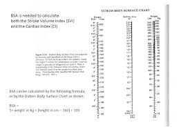 Body Surface Index Chart Related Keywords Suggestions