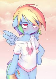 Fluttershy and rainbow dash by emperpep on deviantart. Rainbow Dash Always Dresses In Style By T Hoodie My Little Pony Cartoon My Little Pony Drawing My Little Pony Pictures