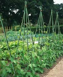 To quickly recap, the best ways to keep rabbits out of your garden include: Home Garden 1 2in X 5 Ft Super Strong Rabbit Proof Fence Stakes For Raised Bed 8 Pack Garden Decor