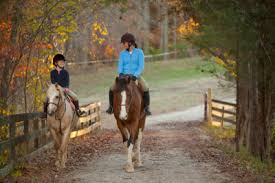 From riding helmets to even horse trailers and floats, you'll find everything you need at great prices. Teaching Children To Ride Horses Online Horse College