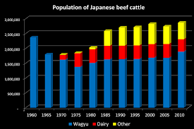 distribution and numbers of wagyu traditional wagyu breeds