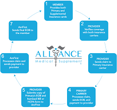 We did not find results for: About Alliance Medical Supplement