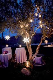 Make some delicious and beautiful twinkle star desserts for your guests. Starry Night Wedding Theme Starry Night Wedding Theme Star Wedding Decorations Starry Wedding