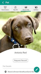 Rover.com has been visited by 10k+ users in the past month Download Pawsitive Vet Free For Android Pawsitive Vet Apk Download Steprimo Com