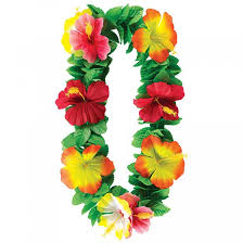 Birthdays flowers, anniversaries flowers, sympathy & funeral flowers. Hawaiian Flower Lei Key West Hibiscus Flowers Green Leaf Party Supplies Online Australia S Biggest Online Party Shop