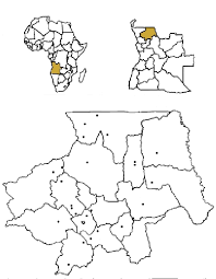 Image result for Landolphia eminiana