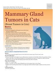Mammary cancer is the third most common cancer in cats and likely to strike 1 in 4,000 cats. Mammary Gland Tumors In Cats