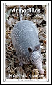 Til Armadillo Shells Are Capable Of Deflecting Bullets. A Texan Man Who  Tried To Shoot An Armadillo Found Himself In The Hospital After The Bullet  Bounced Back Off The Animal And Hit