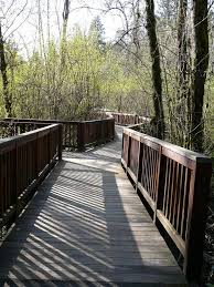 How many followers do you have for aesthetic backgrounds? Park Backgrounds Wallpaper Cave