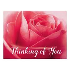 Floral Pink Rose Flower Thinking Of You Hello Postcard Zazzle Com In 2021 Pink Rose Flower Thank You Flowers Rose Flower