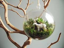 December 2010 Terrarium Diy Terrarium Garden Terrarium