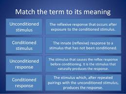 Behaviourist Model As Psychology