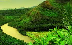 Nature Wallpapers For Android Group 45