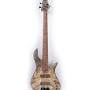 Profile Picture of Shevette - Torillo Basses (@torillo-bass.com) on Google