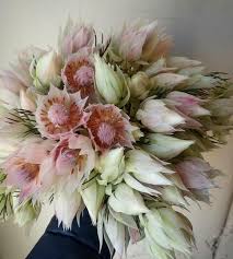 Import flowers nashville dirba šiose srityse: Import Flowers Flowers Nashville Tn Weddingwire