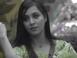 Bigg Boss 11: Salman Lashes Out At Arshi For Disrespecting Shilpa's Mother;  Spl Guests Enter House!