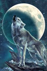 While coyotes howl for a variety of reasons, it is not likely because they have downed prey. Howling Moon Soloist By Antonia Neshev Istyles