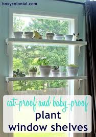build a diy window plant shelf: cat