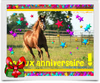 Envoyez facilement une jolie carte virtuelle gratuite d'anniversaire, de vœux ou pour n'importe quelle occasion. Une Soixantaine De Cartes Photos De Cheval Gratuites Avec Texte Et Cadeau Virtuel Le Blog Des Fans De Poneys Et De Chevaux