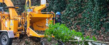 Cost to have mulch delivered varies greatly by region (and even by zip code). Portland Oregon Wood Chip Drop Service
