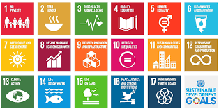 13.3 improve institutional capacity on climate change mitigation, adaptation, impact reduction. Climate Action This Is How You Can Support Sdg 13 With Your Web Search Gexsi The Search Engine For A Better World