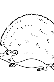 Download & print ➤hedgehog coloring sheets for your child to nurture his/her coloring creative skills. Hedgehog Coloring Page Color Online For Free