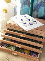 Herbier Rangement Bureau Artisanat De Fleurs Art Des Fleurs Pressees Presser De Fleurs