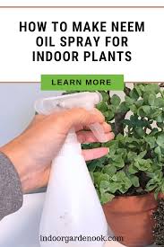 Watering before or after neem oil spray does not create much difference. How To Make Neem Oil Spray For Indoor Plants Indoor Garden Nook Neem Oil Neem Oil Recipes Neem Oil Garden