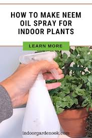 There are tons of neem oil benefits & uses in your garden. How To Make Neem Oil Spray For Indoor Plants Indoor Garden Nook Neem Oil Neem Oil Recipes Neem Oil Garden