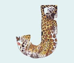 Animal Alphabet Letter J Abecedario Letras Del Alfabeto Letras Creativas